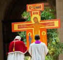 Taiz2012.jpg (28630 byte)